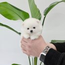 창동045 이미지