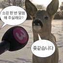 마음공조 이미지