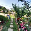 참새골농원 이미지