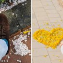 주식회사 니트로스튜디오 이미지