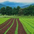 (유)하나팜텍 이미지