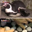 대단해농장 이미지