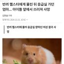 반려 햄스터에게 물린 뒤 응급실 가던 엄마... 아이들 앞에서 쓰러져 사망 이미지