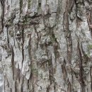 석불암 마애여래좌상 이미지