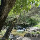 화북면사무소 화장실 이미지