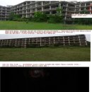 충일
