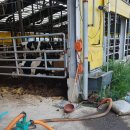 영인면 영인로 이미지