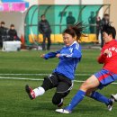 탄금축구장 이미지