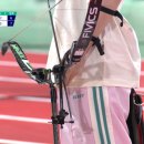 널디롯데