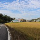 지곡천 산책로 이미지