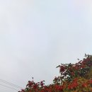 수일억조 횟집 이미지