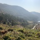 개도중앙1로 이미지