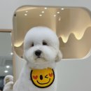 한올디테일그루밍 이미지