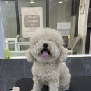 밍그루밍 이미지