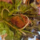 제2호어린이놀이터화장실 이미지