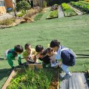 소통농장 이미지