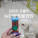 힐스타운 동물병원 | 강아지 초콜릿 골든타임은? 은평 뉴타운 동물병원 처치후기