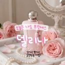 퍼퓸드말리 델리나 후기 | 향, 지속력, 듀프 향수까지 직접 써본 리뷰