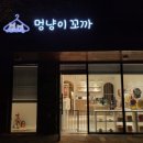 캣독애견편의점