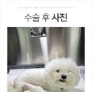 덕소동물병원 이미지