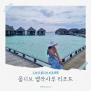 두바이 몰디브 신혼여행 후기2 : 벨라사루리조트 스피드보트 워터방갈로위드풀 요가 터콰이즈 마사지 올...