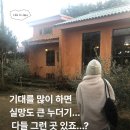 카카오 이미지