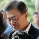 토리펫 이미지