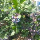 학산농장 이미지