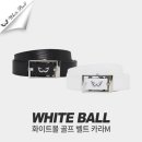 디지지에스 이미지
