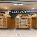 김포스프링스파사우나스낵 | 김포 찜질방 추천 리뉴얼된 김포스프링스파24 방문 후기