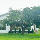 호국로1539번길 이미지