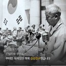 뿌리없는 나무 대한민국 이미지