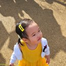 주남저수지 석산화장실 이미지