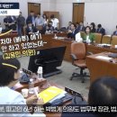 박은정 카카오 검색결과