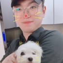 오마이러드 이미지