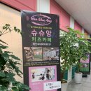 슈슈앙 이미지