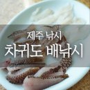 1대물호 이미지