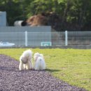 아우디(식당) 이미지