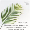 법인백성 이미지