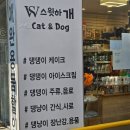 24시편의점사랑 | 강동구 애견용품점 스윗하개 고양이 강아지 간식 24시무인편의점 샘플사료까지???