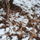 까치농장 이미지