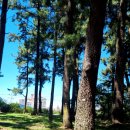 수운근린공원 이미지