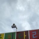 순천만국가정원(서문) 이미지