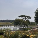 순천만국가정원 동문매점 | 순천만국가정원 후기 | 입장료, 주차, 동문 매표소부터 중국정원까지