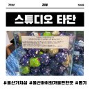 은월로 | 울산 가챠샵 추천 스튜디오 타단 위치, 주차정보, 솔직 방문후기(울산 아이와 가볼만한곳 추천!)