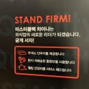 [청라] 중식맛집! 미스터블랙 차이나 점심 코스 먹은 후기