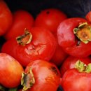 상동농장 이미지