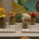 장생목장 이미지