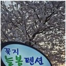 꽃지늘봄펜션 이미지