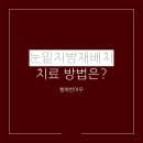 행복한여우의원 이미지